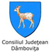 Consiliul Județean Dâmbovița (restaurarea și consolidarea Casei Atelier Gabriel Popescu)